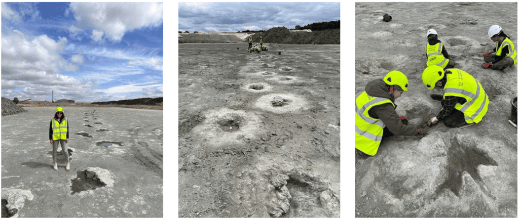 Escavação descobre “rodovia dos dinossauros” na Inglaterra