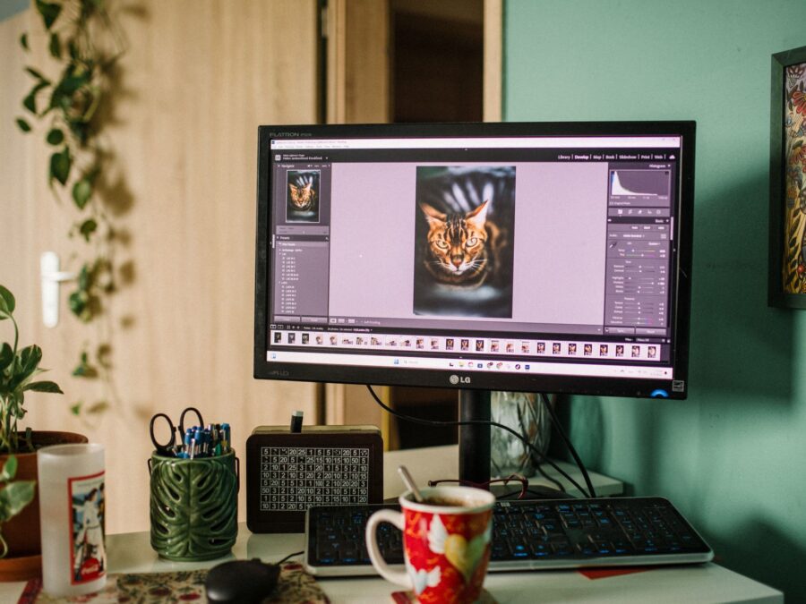 Interface de editor de foto profissional mostrando painel de camadas e histograma