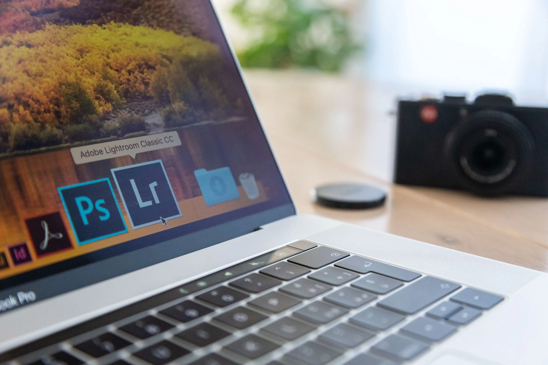 Adobe Firefly (dentro do Creative Cloud)